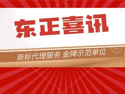 喜 讯 | 东正知识产权荣获商标代理服务金牌示范单位 ，2023年度优秀商标代理机构